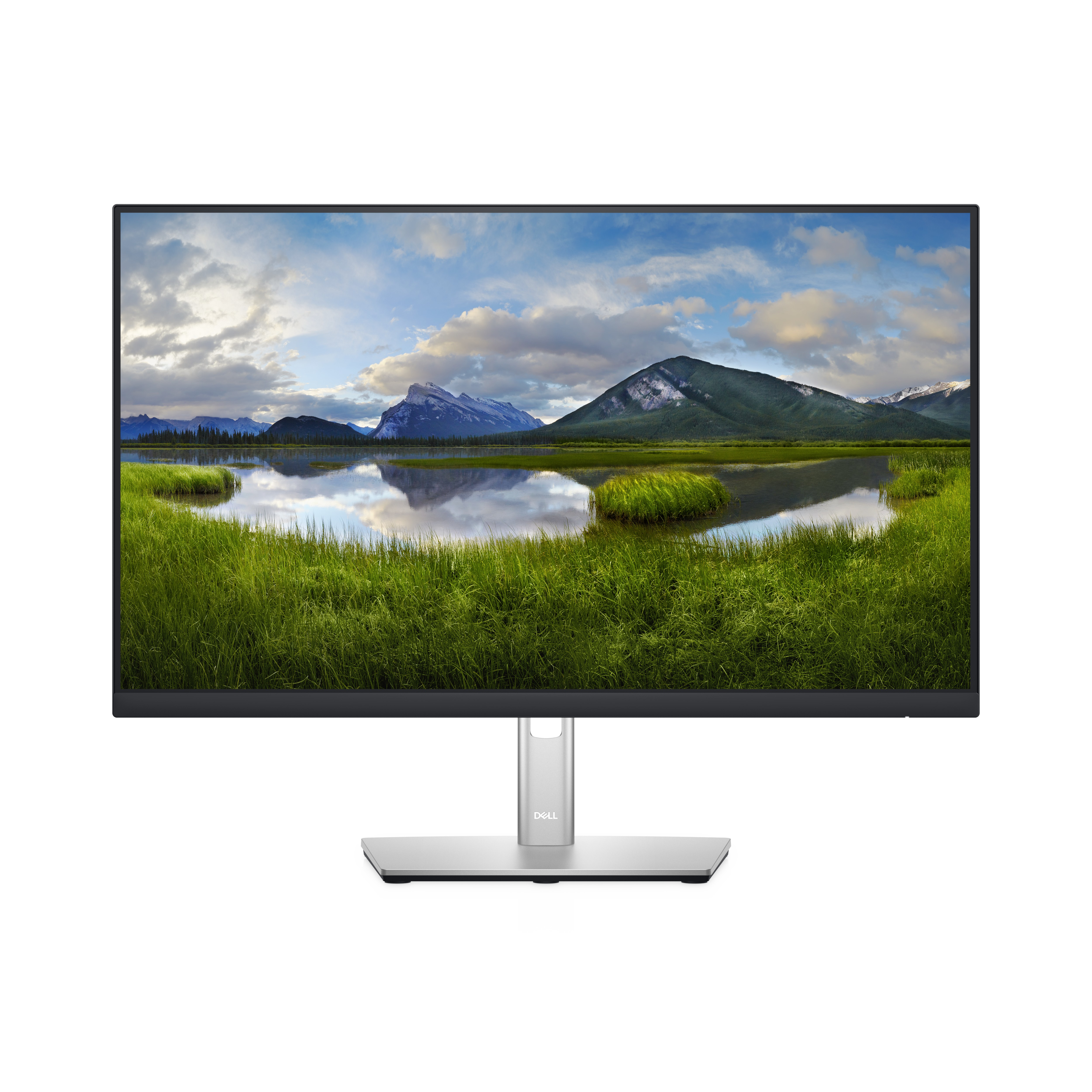 DELL P2422H 60,5cm (23,8\")