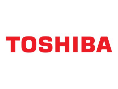 TOSHIBA Thermal Module