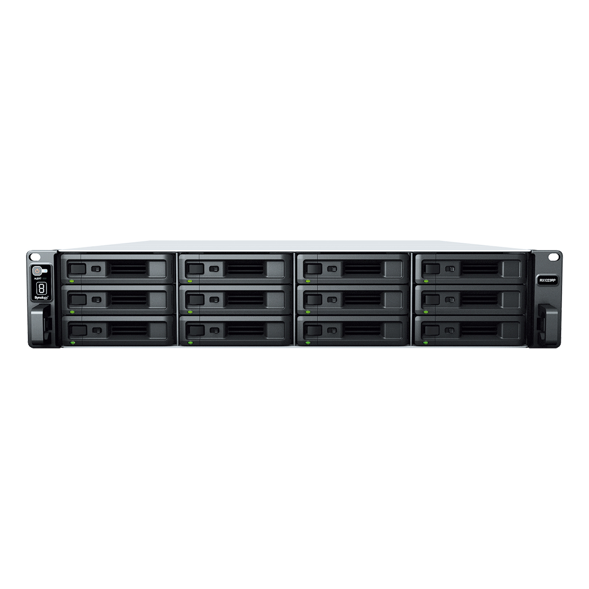 SYNOLOGY Expansion Unit RX1223RP,